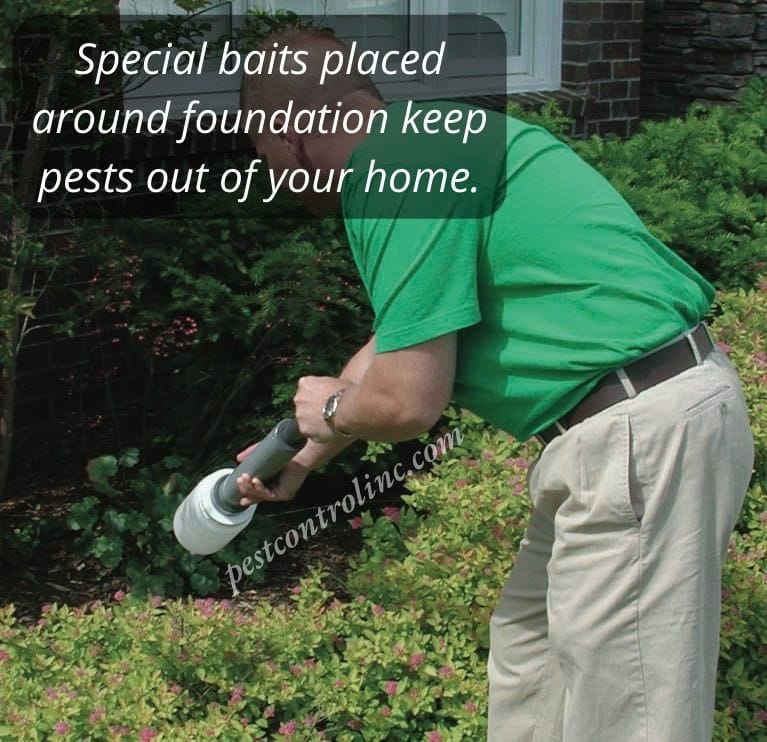 Pest Control baits around foundation