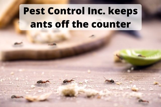 Pest Control Inc