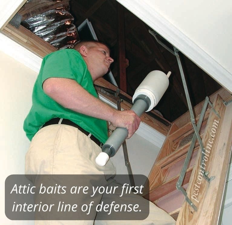 Pest Control attic baits