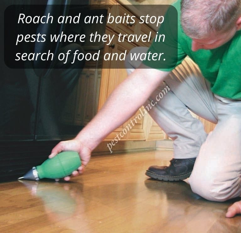Pest Control stops pests food and water searching