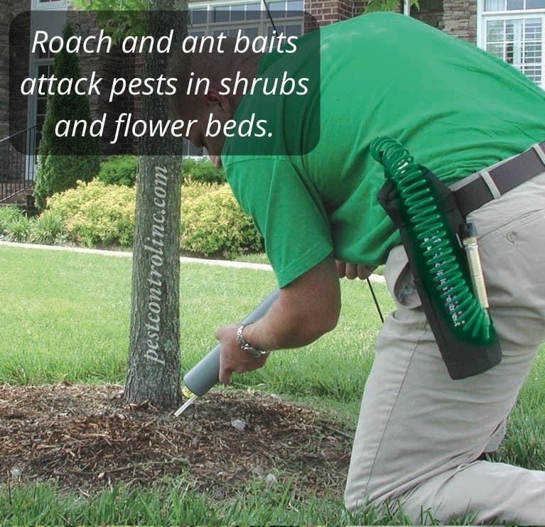 Pest Control baits in shrubs and flower beds