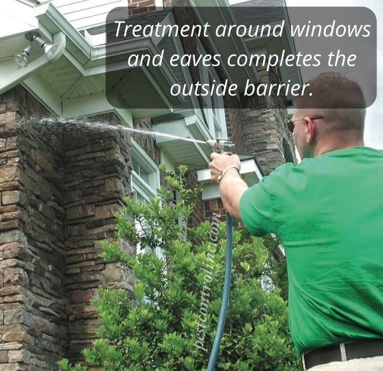 Pest Control treat windows and eaves